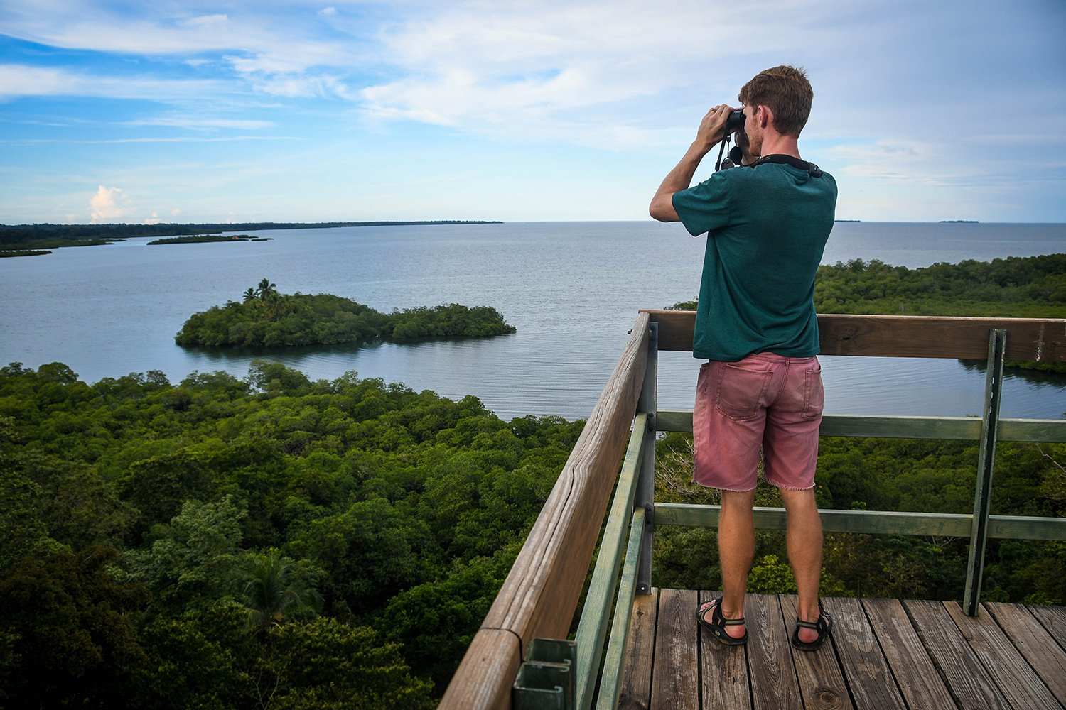 Bocas Del Toro Tranquilo Bay Bird Watching Tower