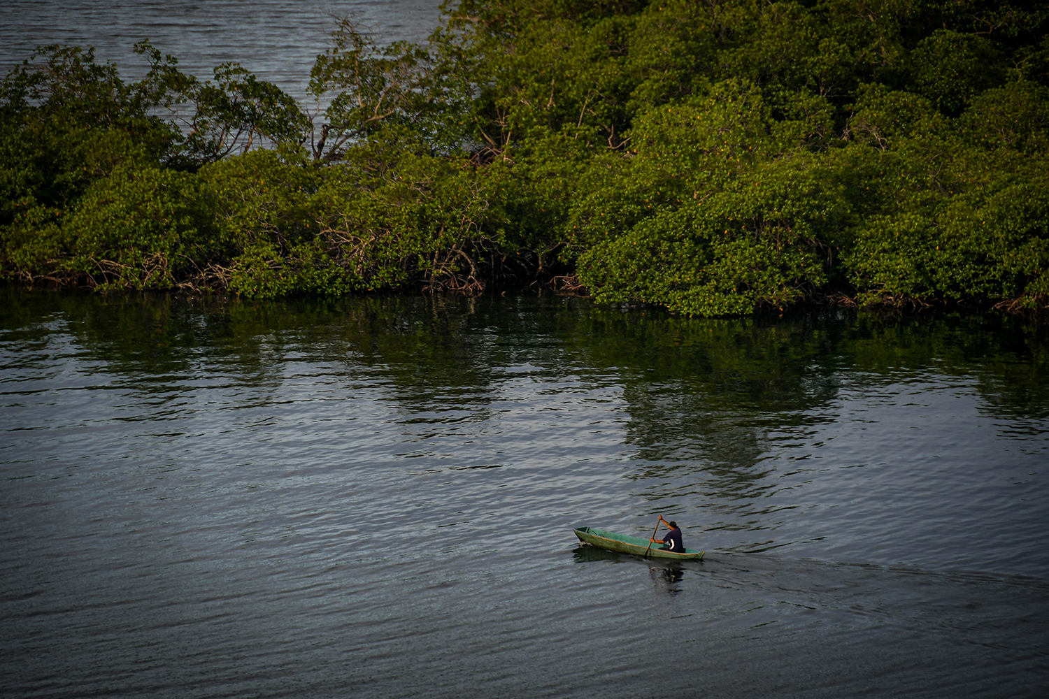 Bocas Del Toro Tranquilo Bay Canoe