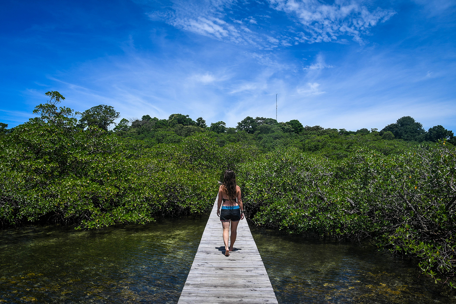 Bocas Del Toro Tranquilo Bay Water Dock