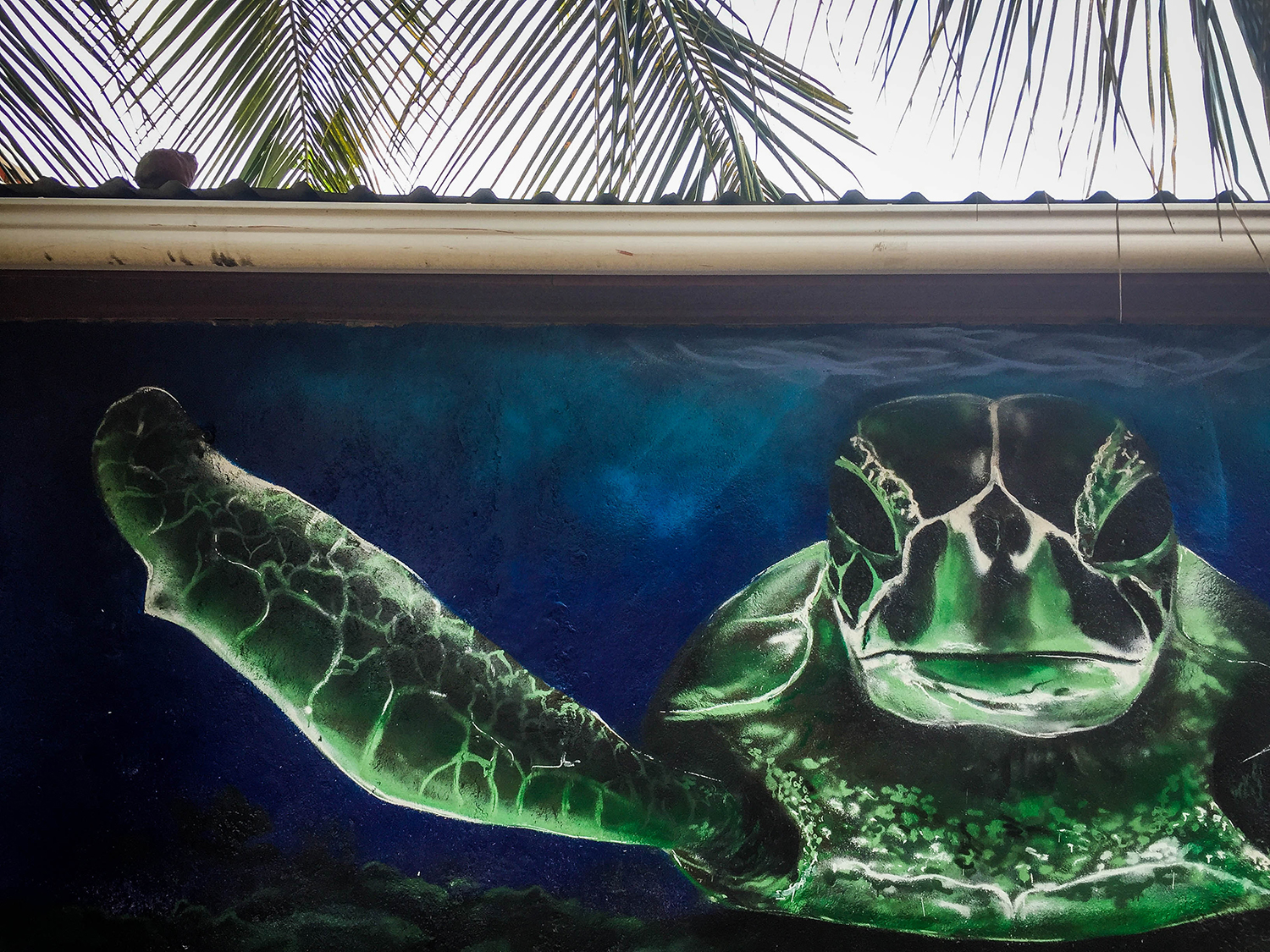 Roatan vs. Utila Honduras Bay Island Turtle Mural