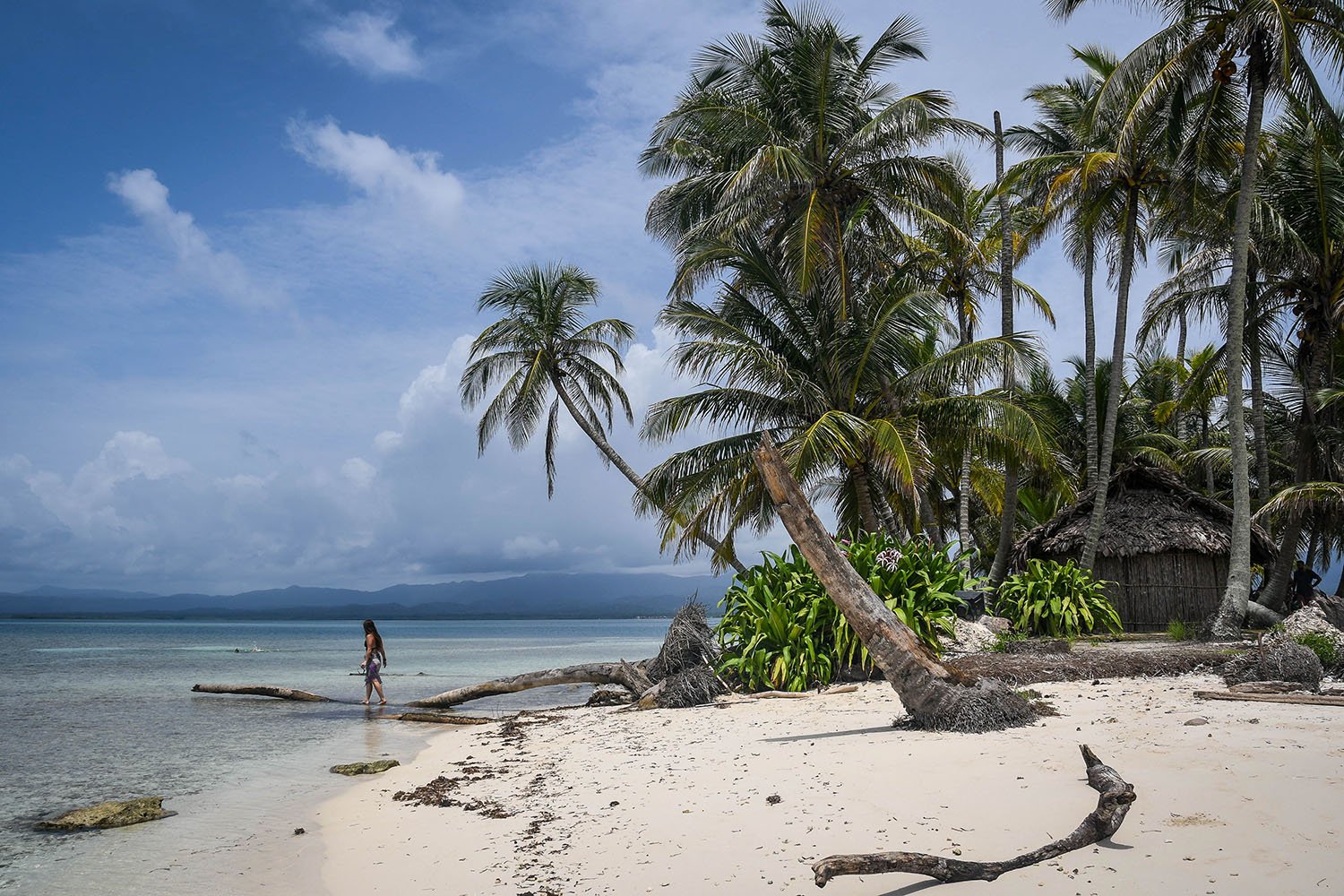 San Blas Islands Panama to Colombia Beach Palm Trees