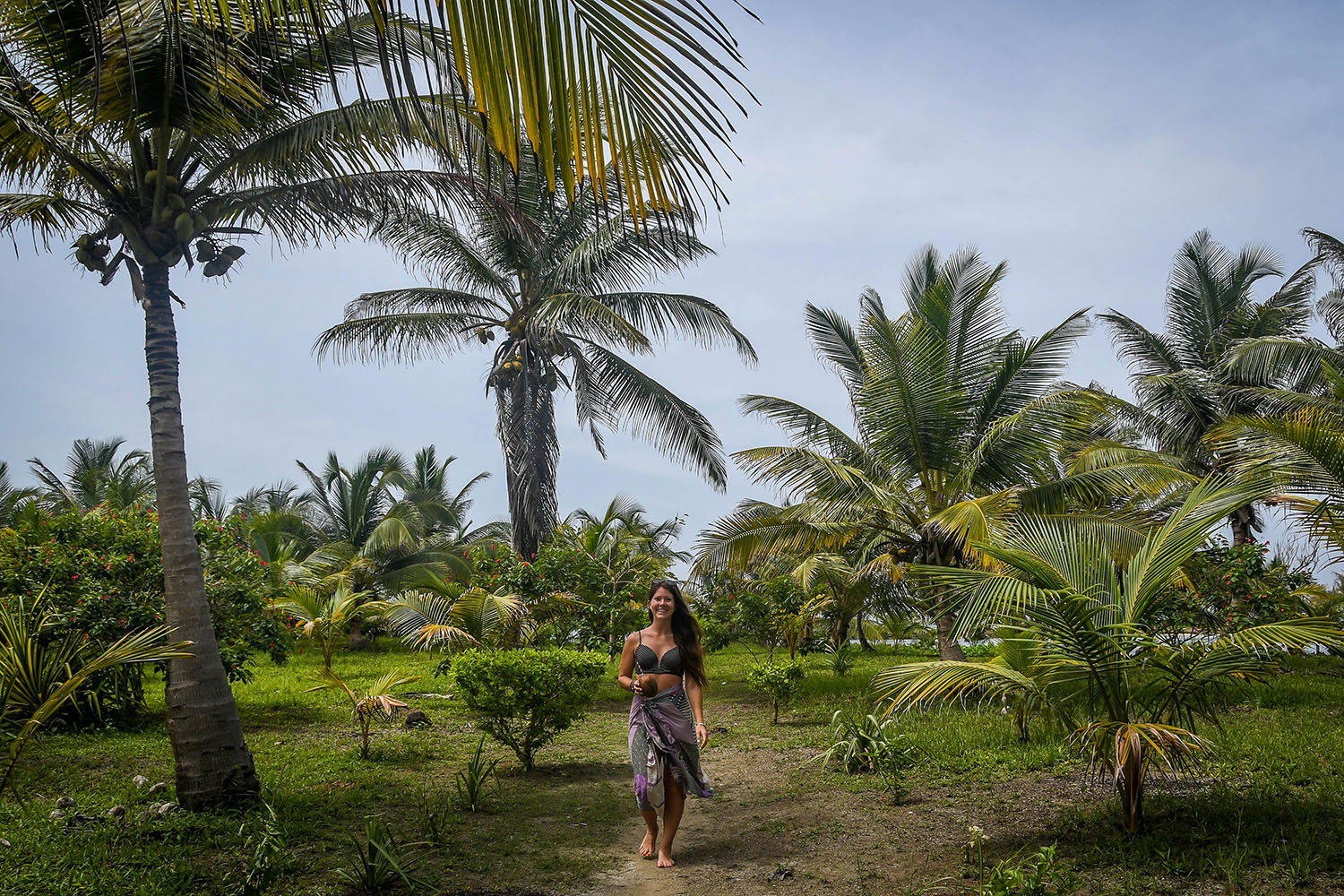 San Blas Islands Panama to Colombia coconut trees