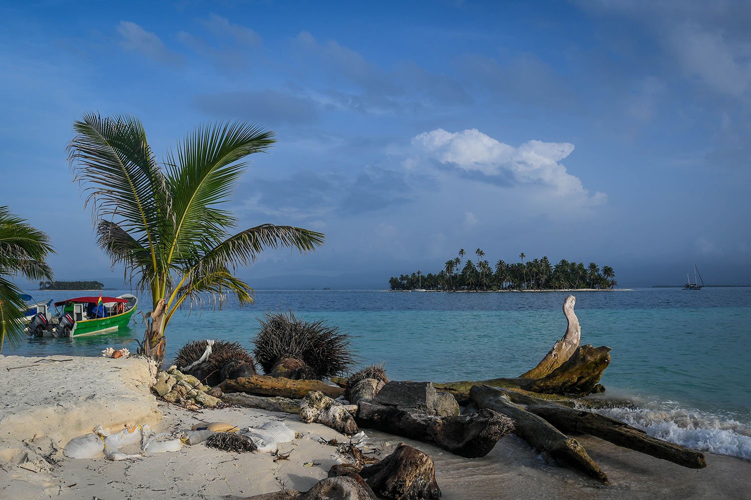 San Blas Islands Panama to Colombia Drift Wood