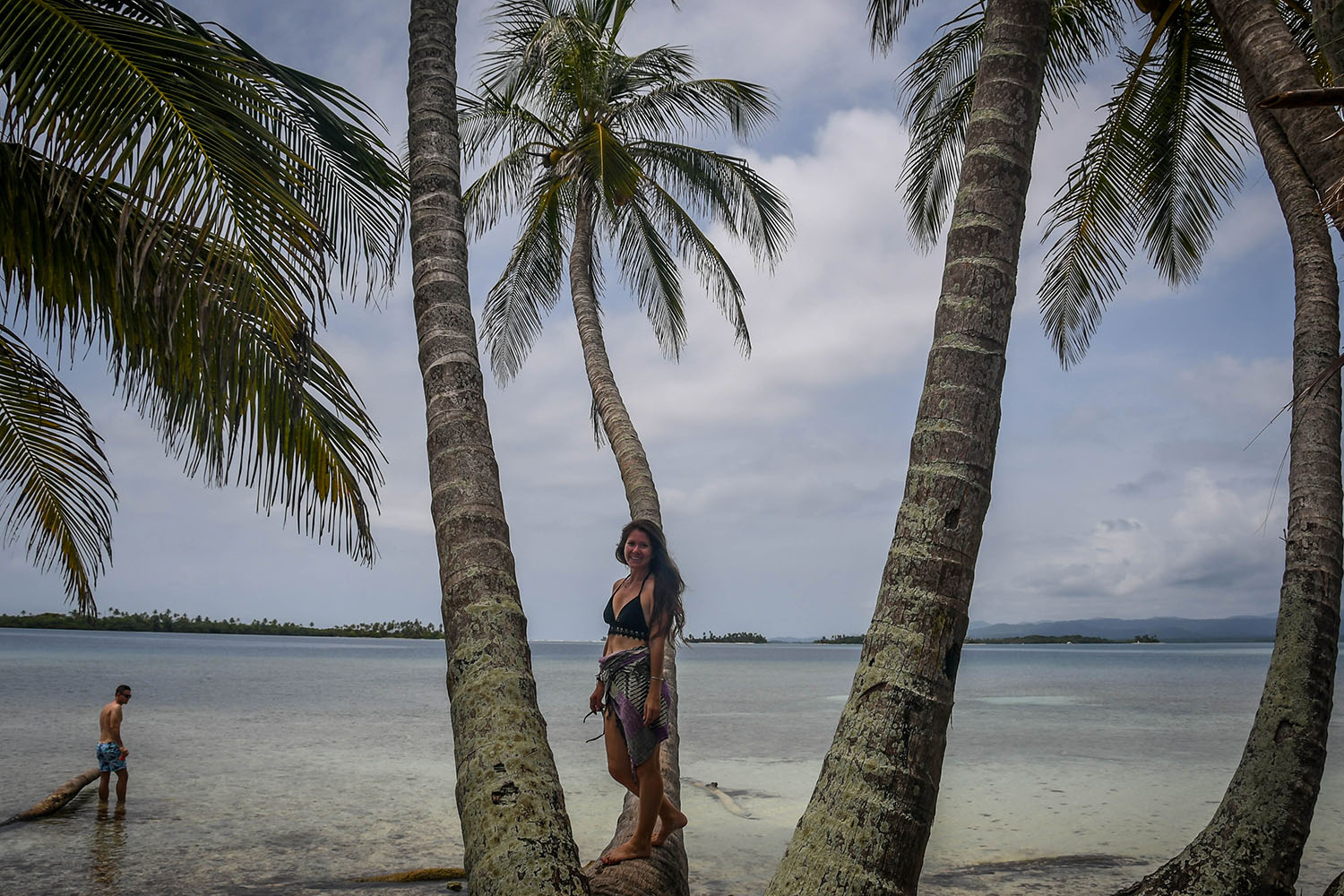 San Blas Islands Panama to Colombia Palm Trees