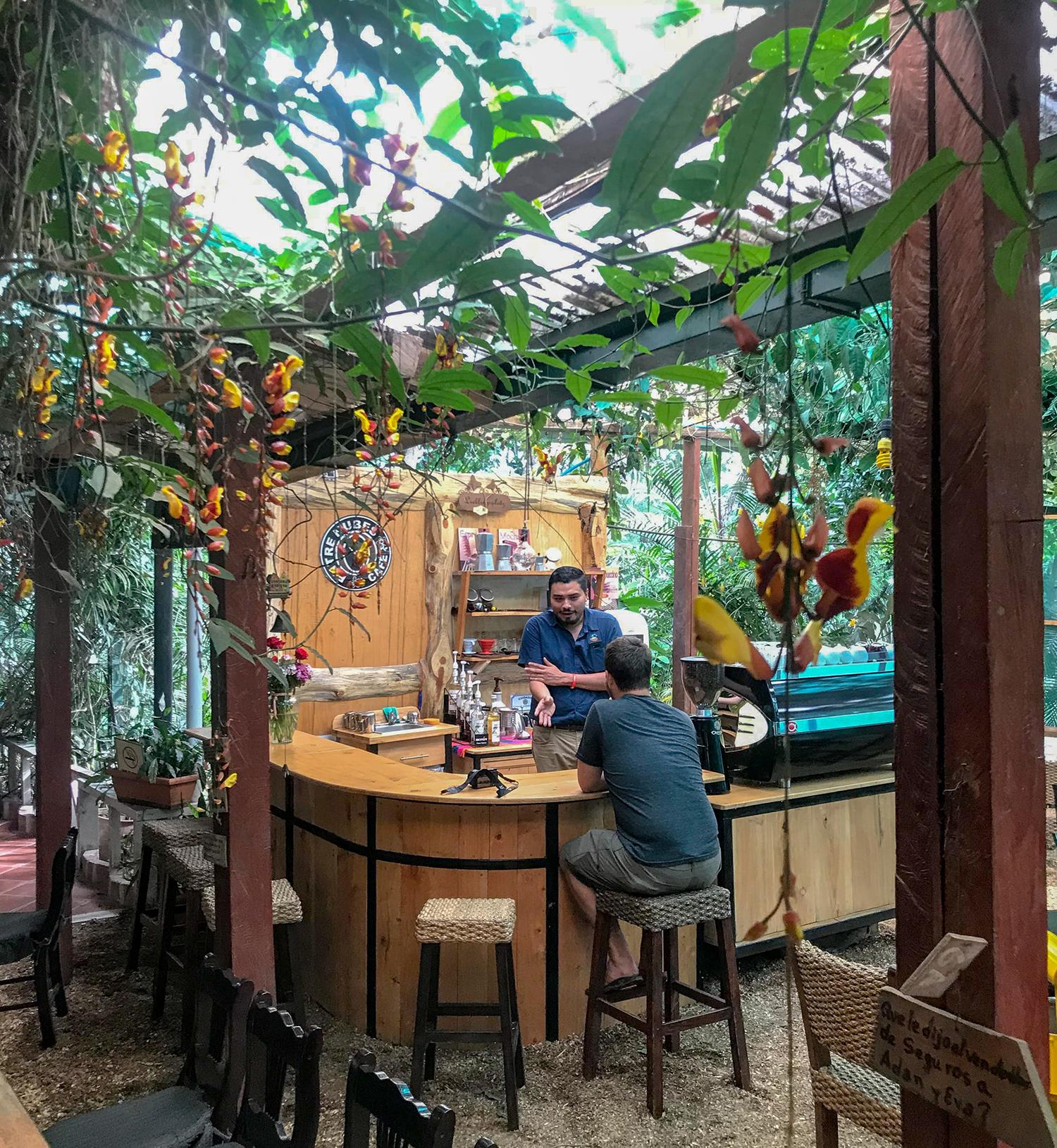 Entre Nubes Cafe Coffee Tour El Salvador