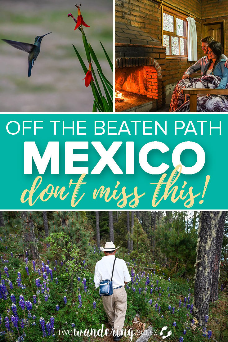 Off the Beaten Path Mexico. Make sure you go to the Sierra Norte Mountains.