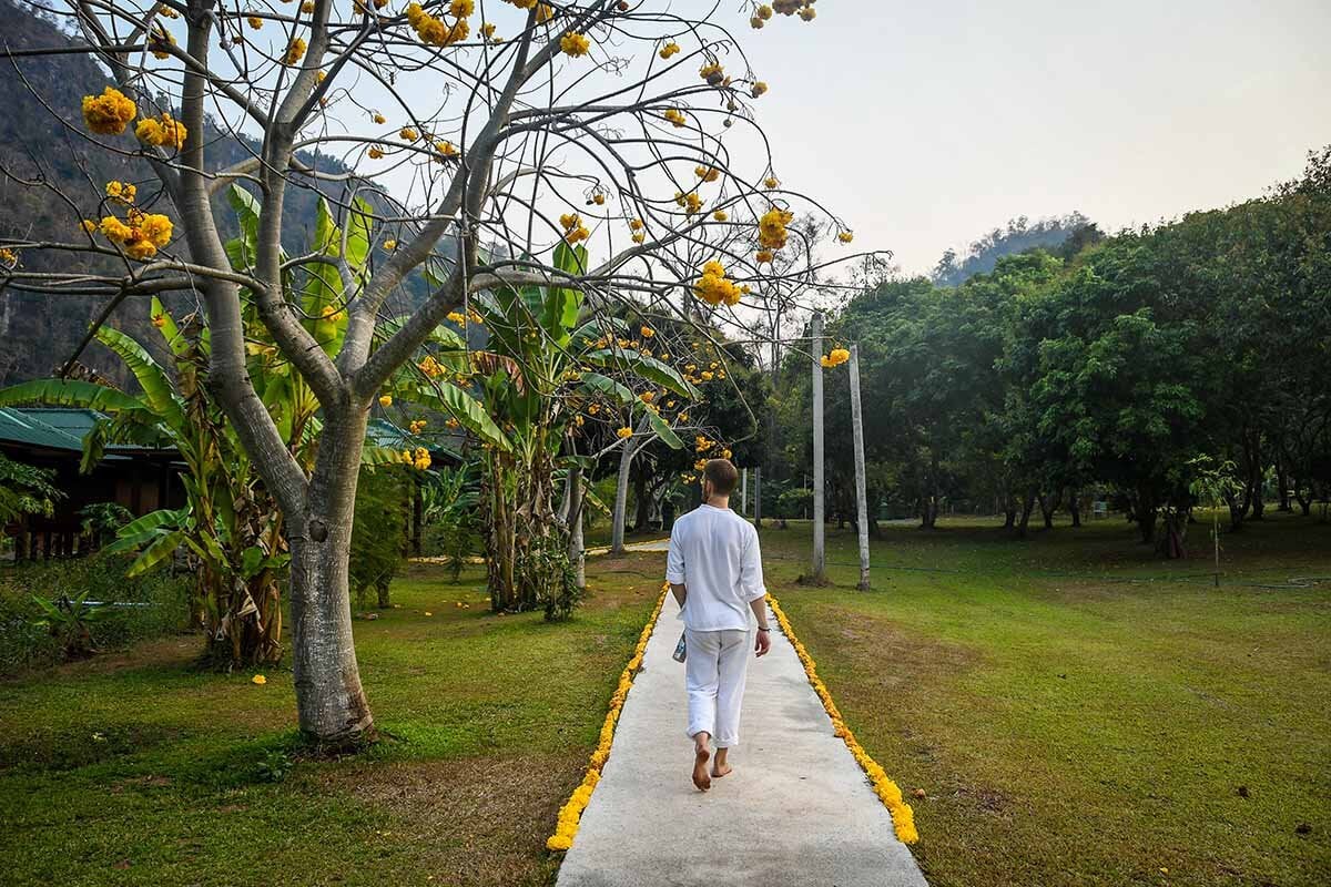 Meditation Retreat Thailand Forest Monastery Wat Pa Tam Wua Yellow Tree