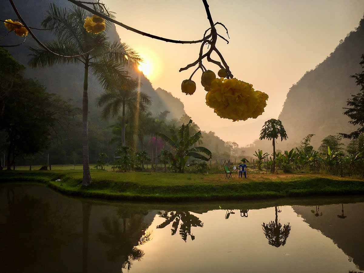 Meditation Retreat in Thailand Wat Pa Tam Wua Yellow flower and Sunset