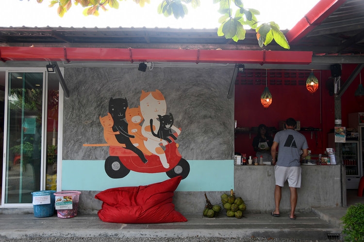 Things to do in Koh Lanta Thailand Lanta Animal Welfare