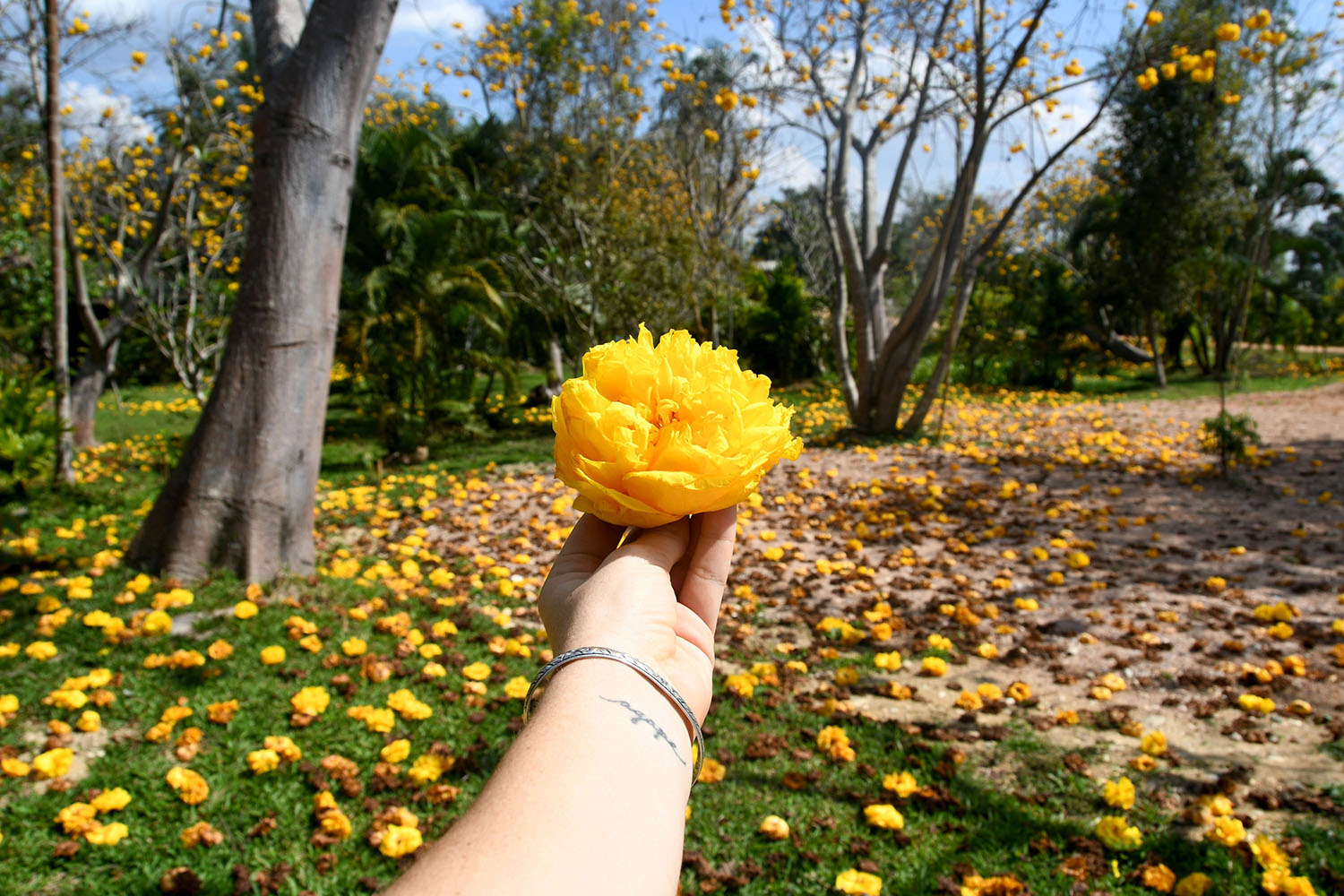 Off the beaten Path Day Trip from Chiang Mai Thailand