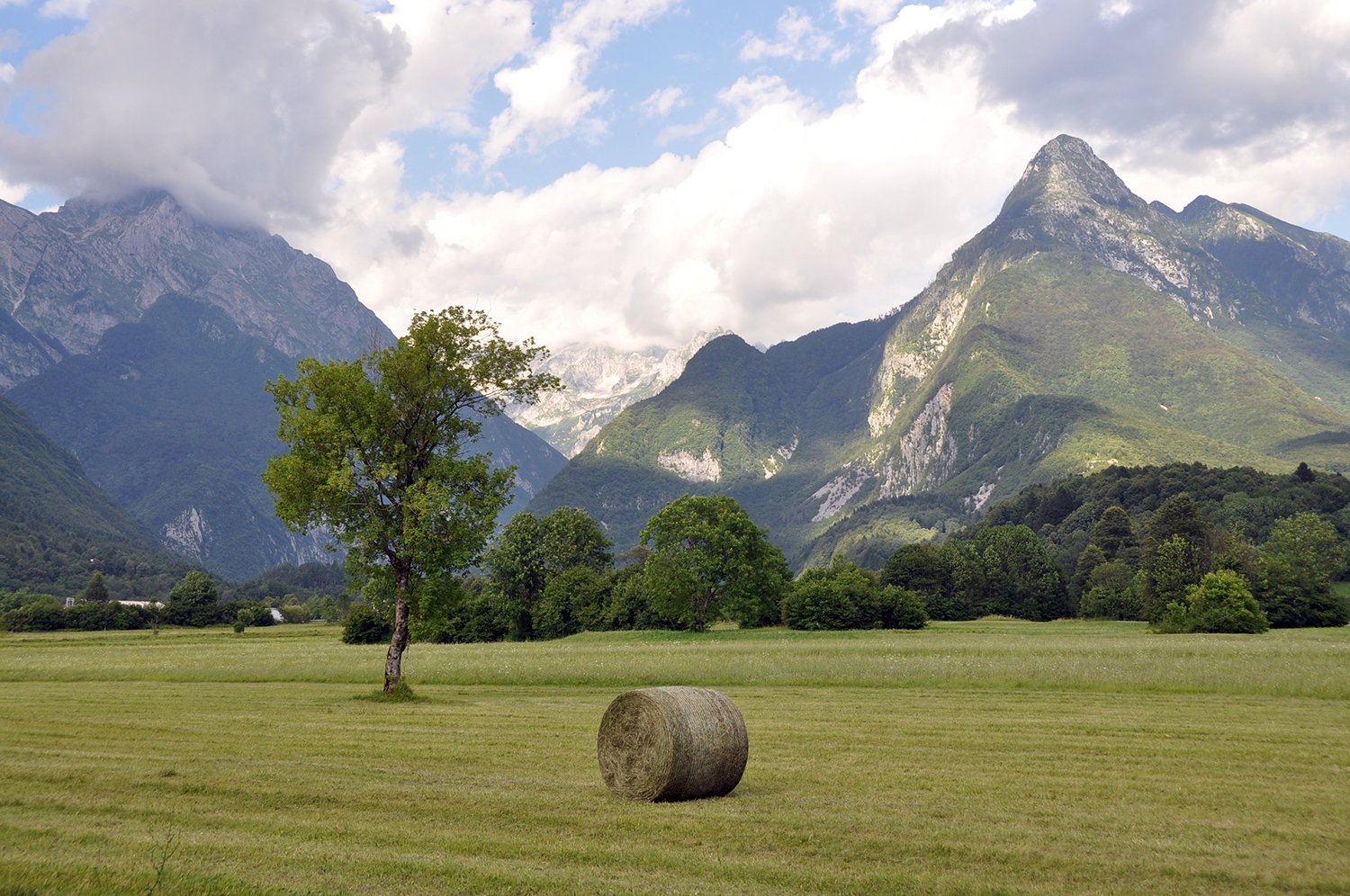 Hay Field and Mountains Bovec Slovenia Travel