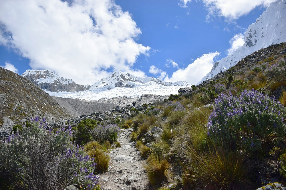 Cordillera Blanca Laguna 69 Hike