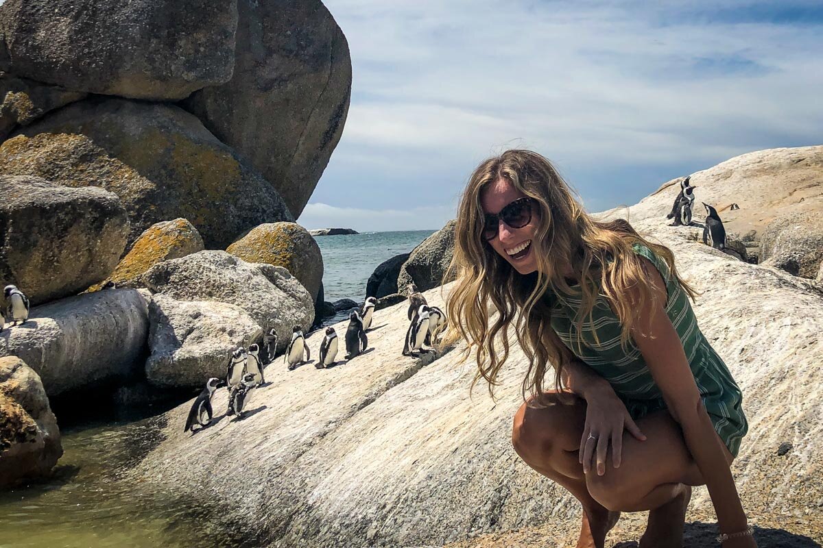 Penguins in Cape Town Photo Credit: Amanda Pointer