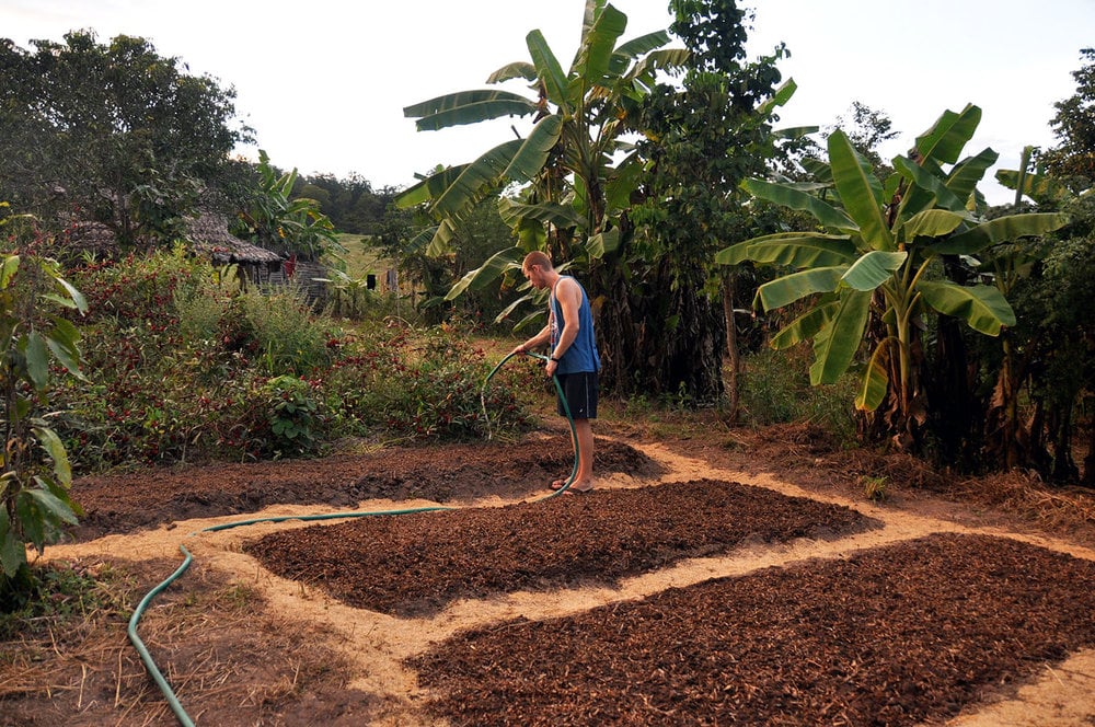 Working on an Organic Farm Cheap Travel Hacks