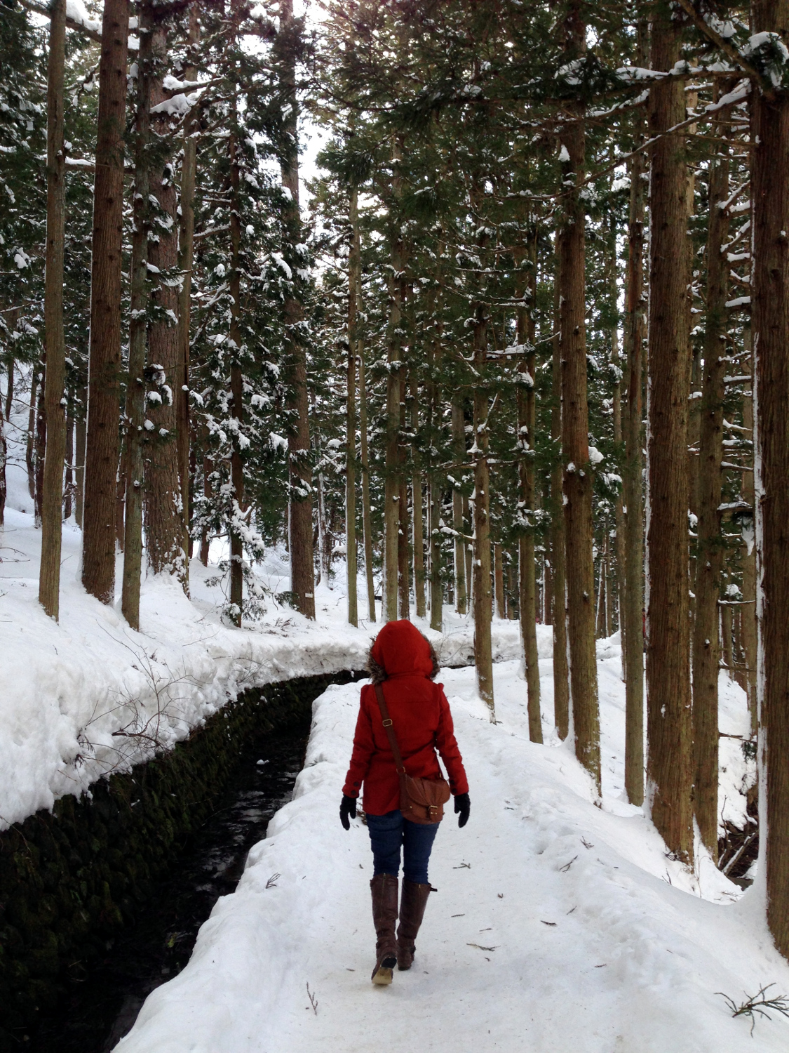 Japan in Winter Best Holiday