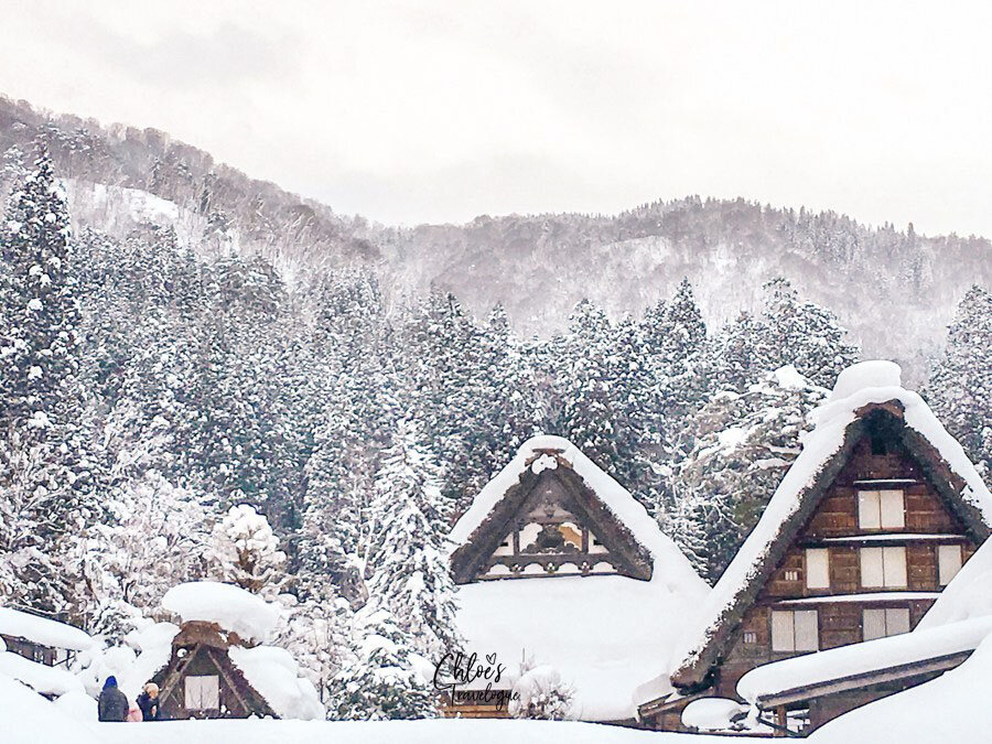 Traditional village, Shirakawago, in the wintertime. // Photo credit: Chloe, fromChloe’s Travelogue