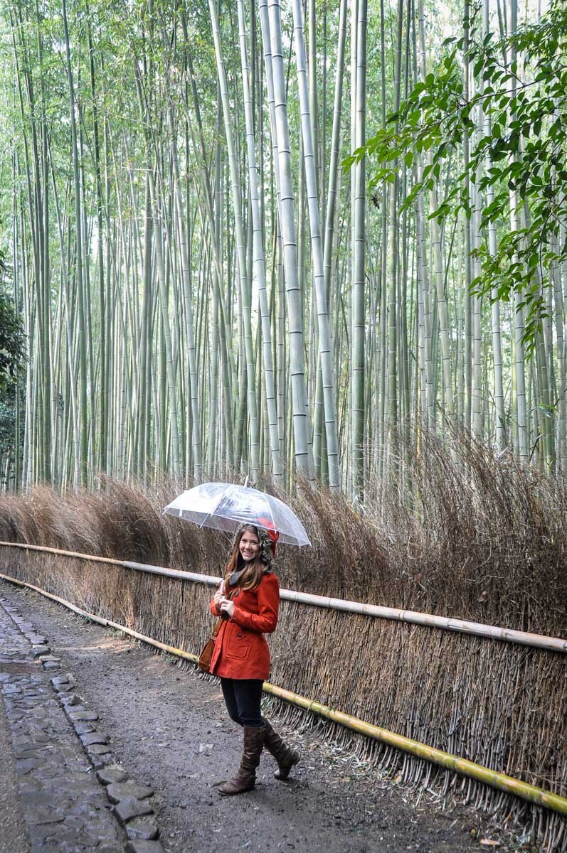 Japan in the Winter