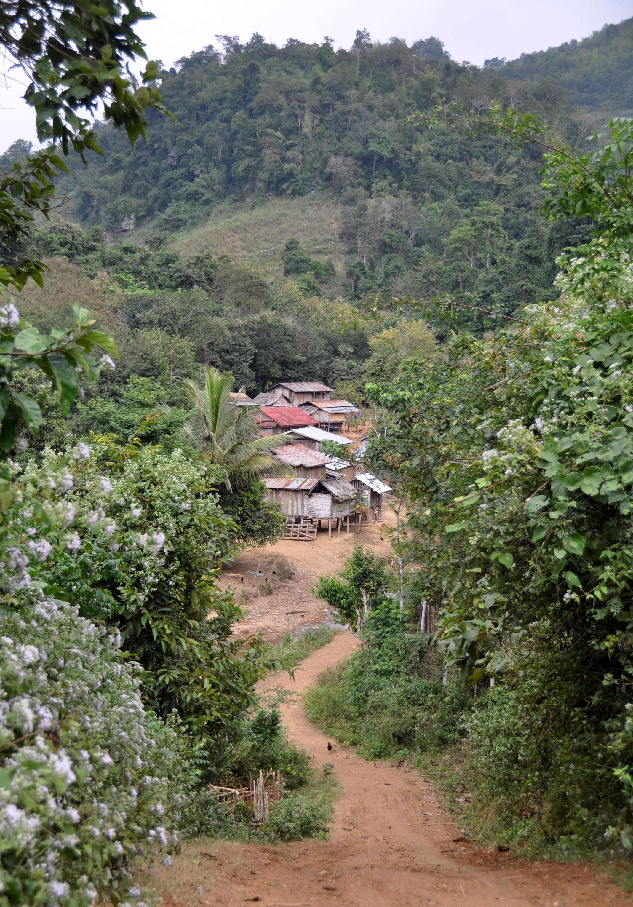 Remote Hill Tribe Homestay in Laos White Elephant Adventures