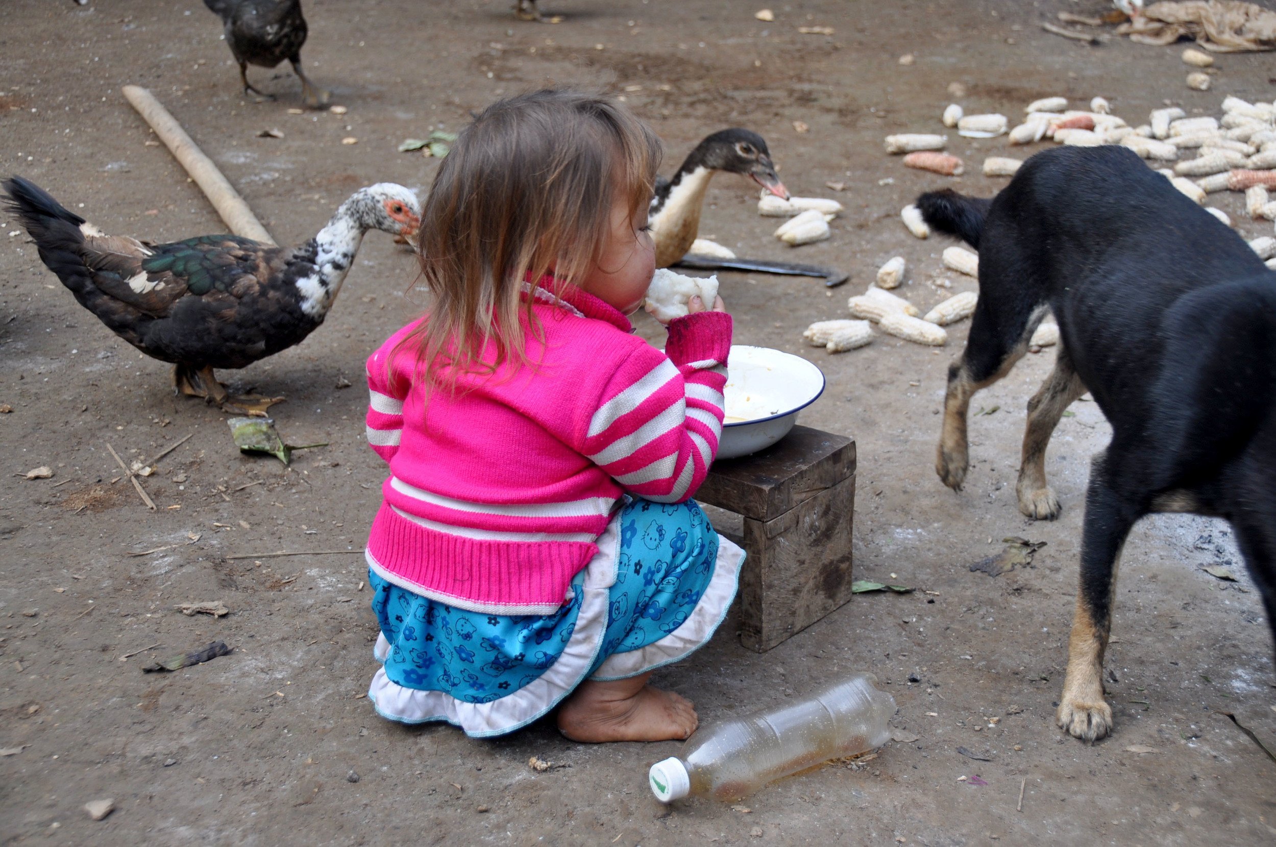 Remote Hill Tribe Homestay in Laos White Elephant Adventures