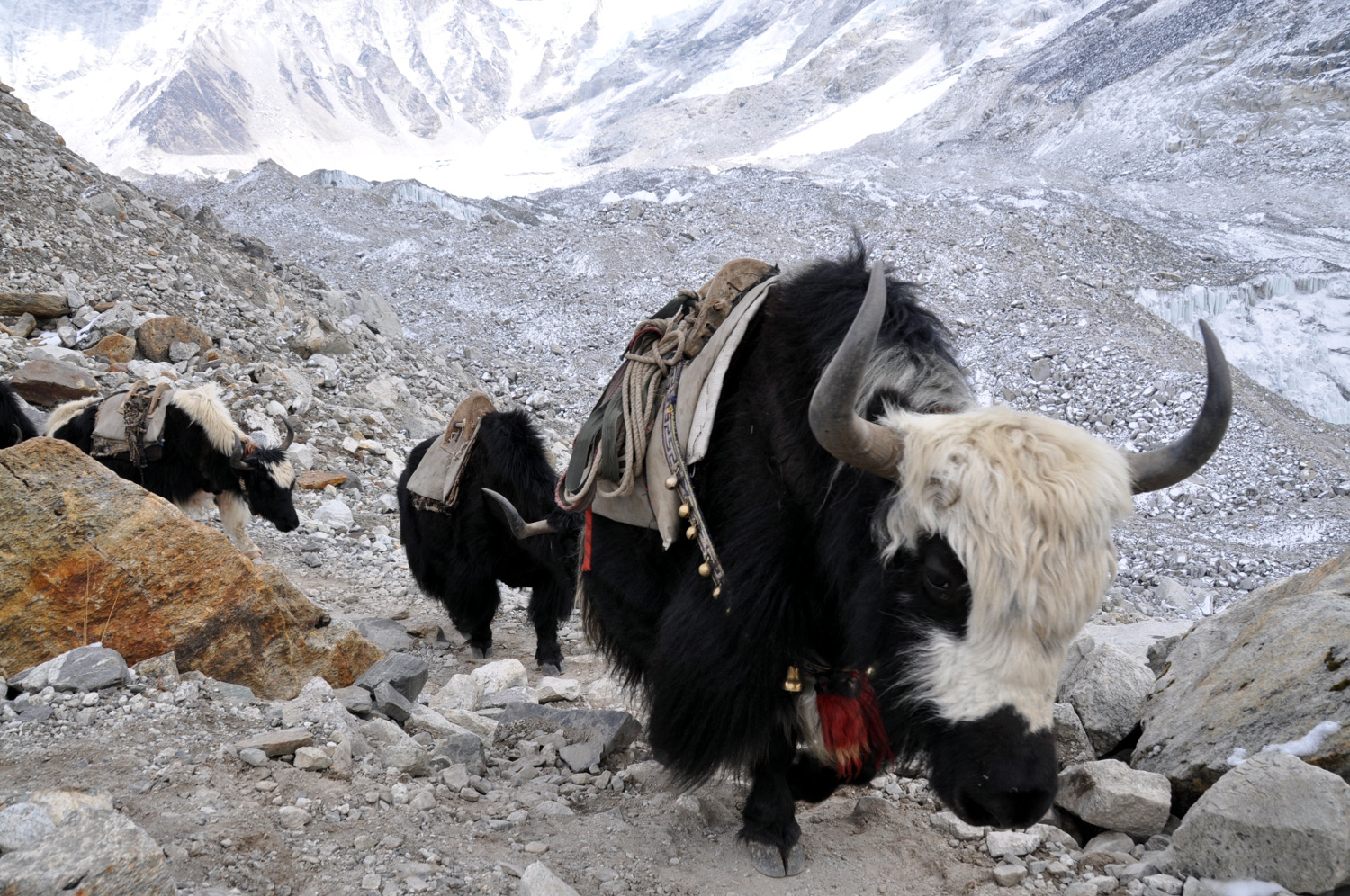Yak Perfect Everest Base Camp Trekking Itinerary