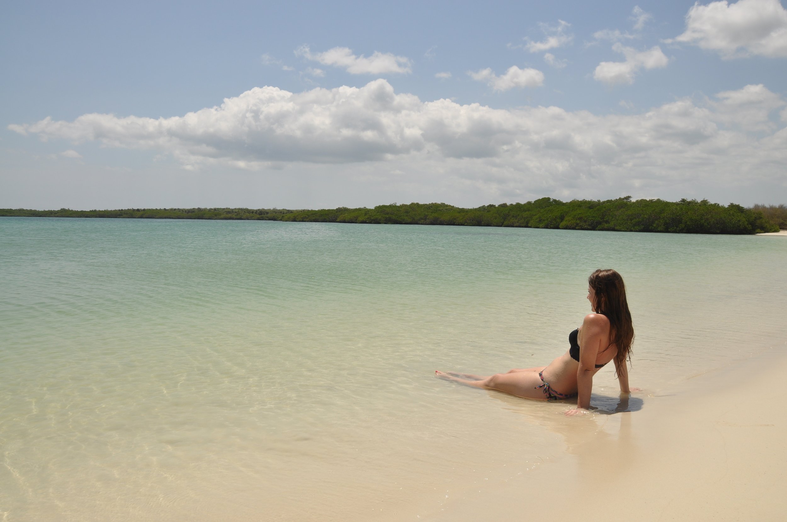 Galápagos Islands on a Budget Tortuga Bay