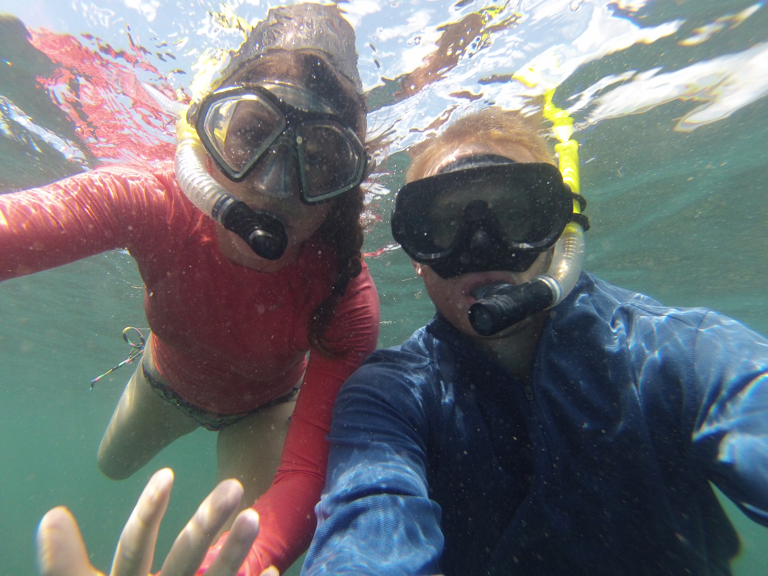 Galapagos Islands on a Budget snorkeling