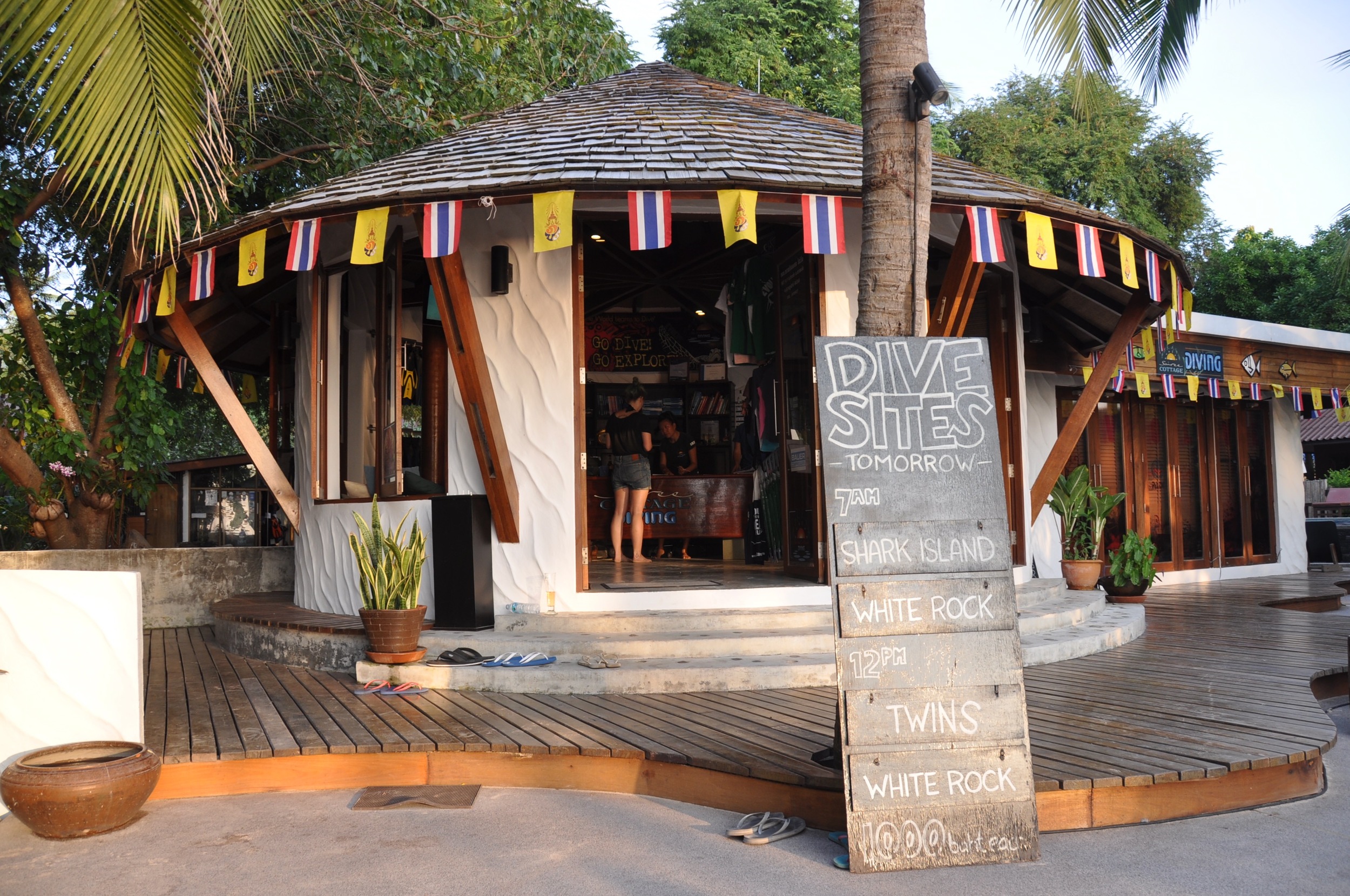 How To Choose A Dive School in Koh Tao Sairee Cottage Diving