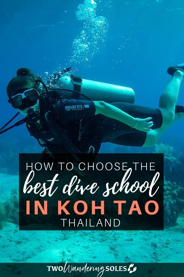 Best Dive School in Koh Tao