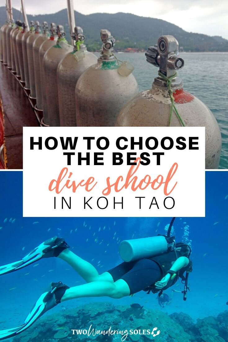 Best Dive School in Koh Tao