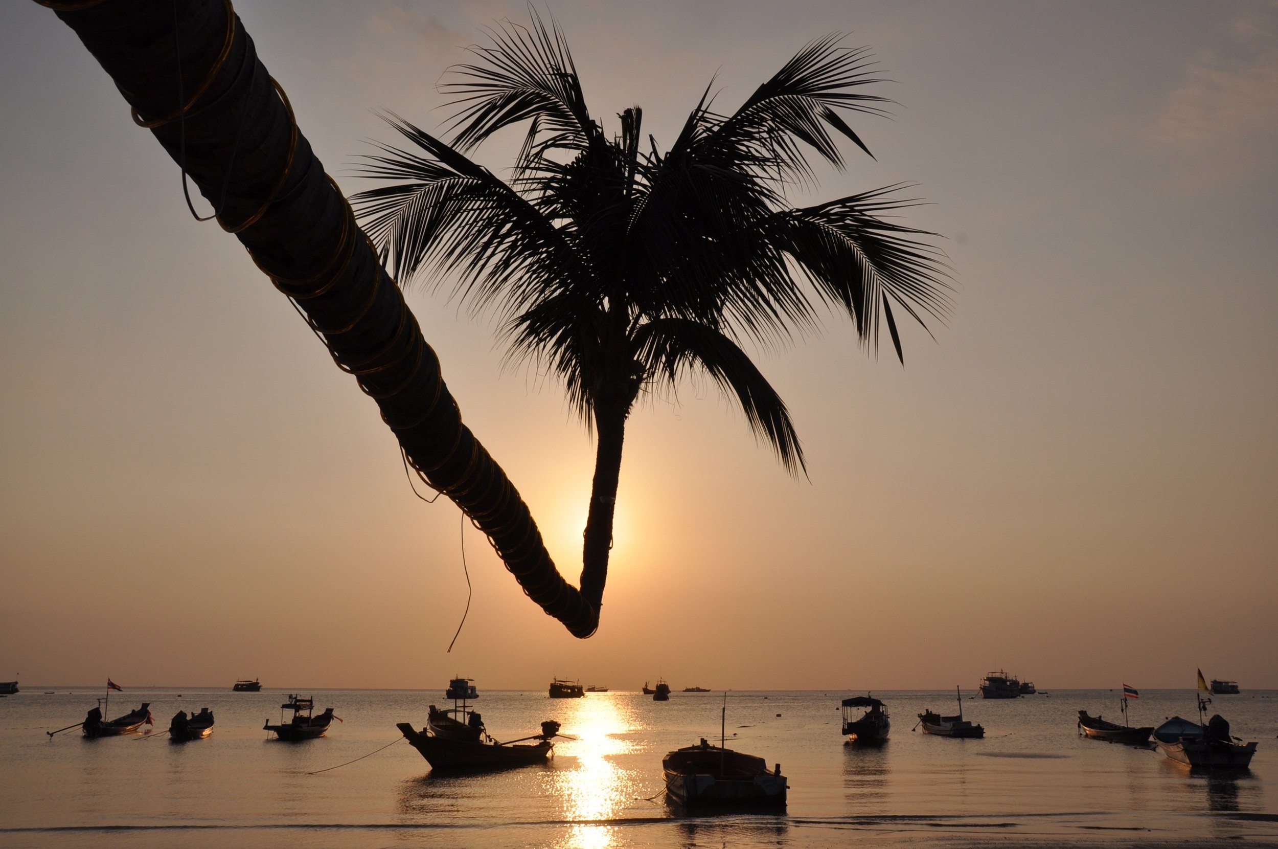 View from Lotus Beach Bar at Happy Hour