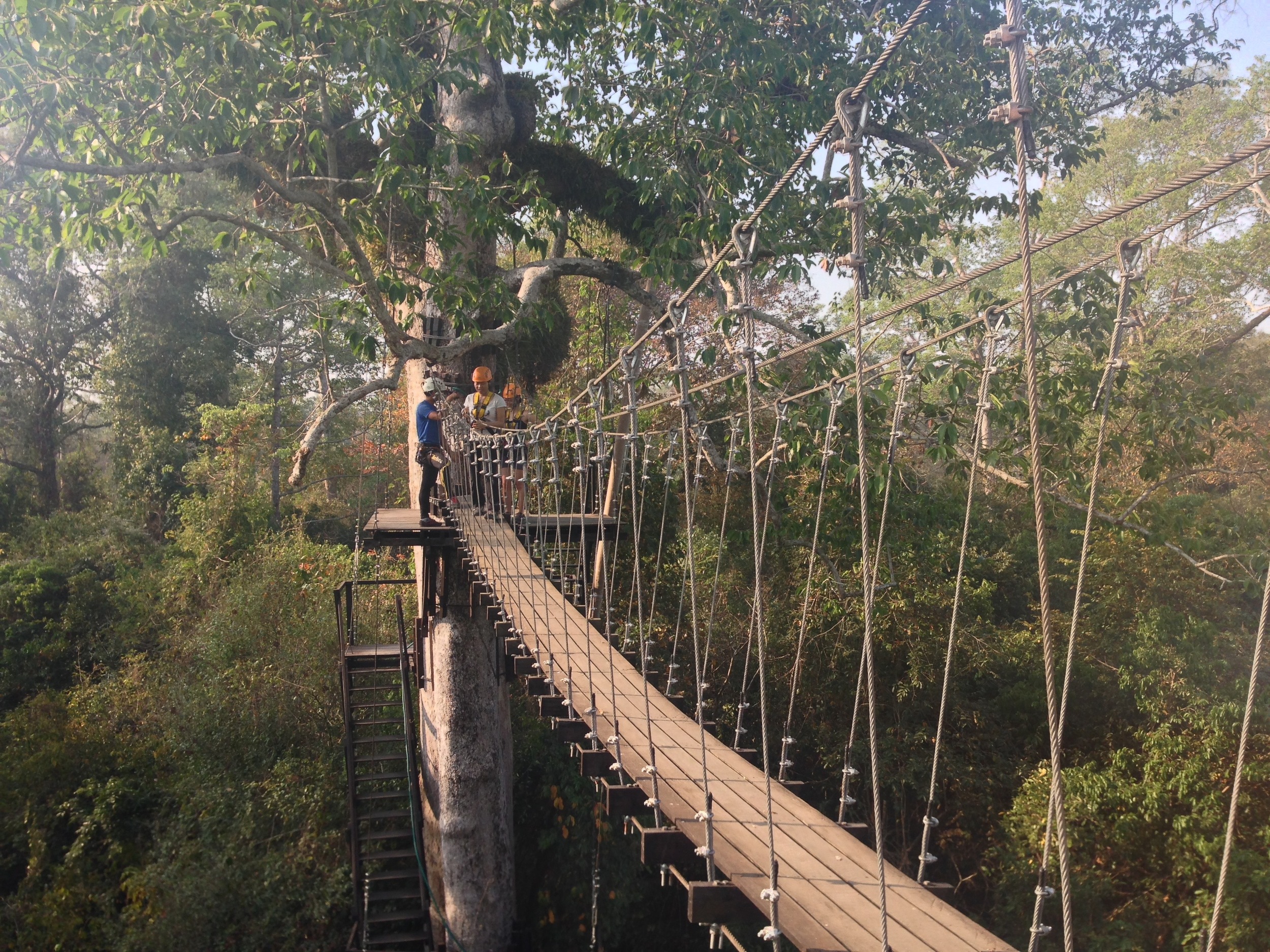 Flight of the Gibbon Zip-lining Bridge