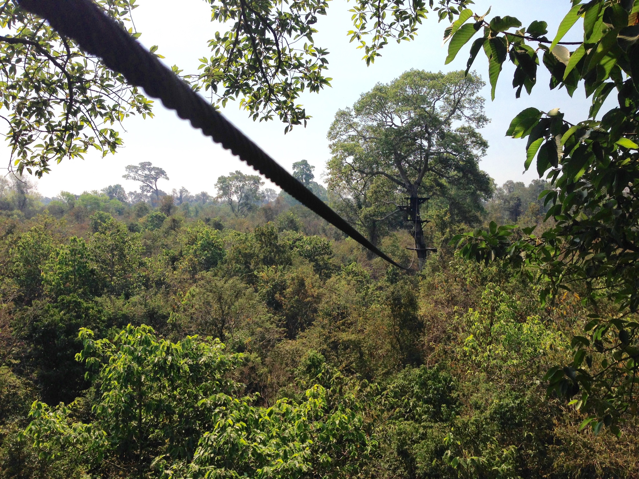 Flight of the Gibbon Angkor Zip-lining