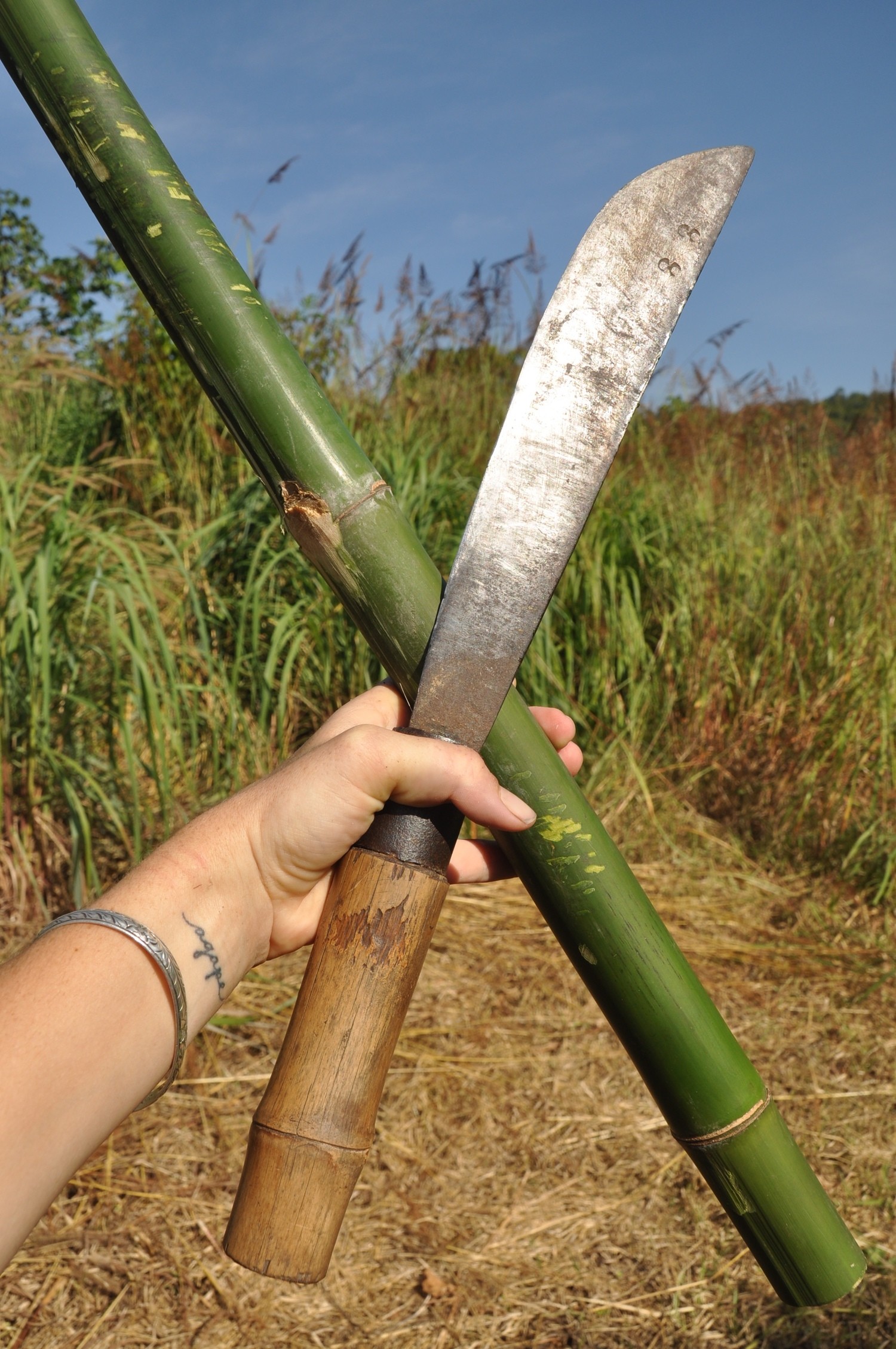 Bamboo Machete WOOF Workaway Pai