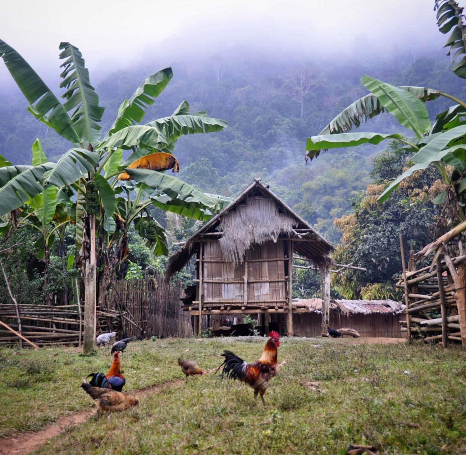 H'mong Village Homestay Laos