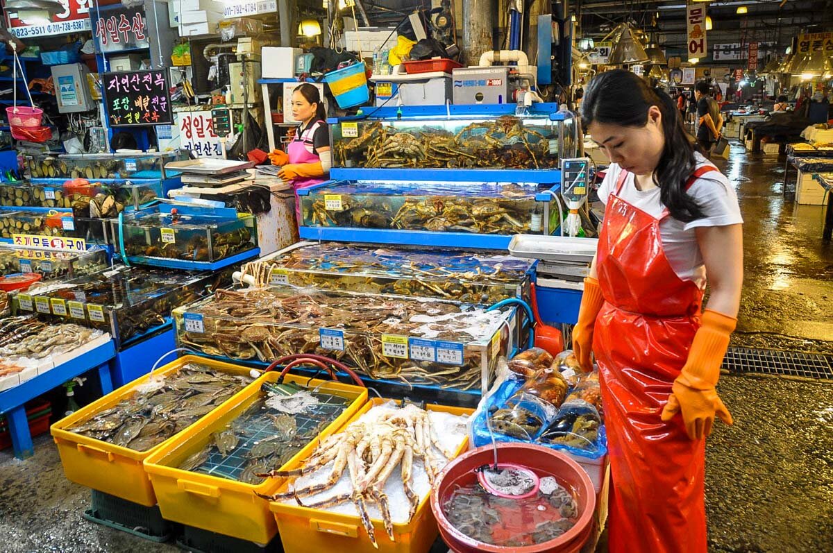 Things to Do in Seoul | Live Octopus