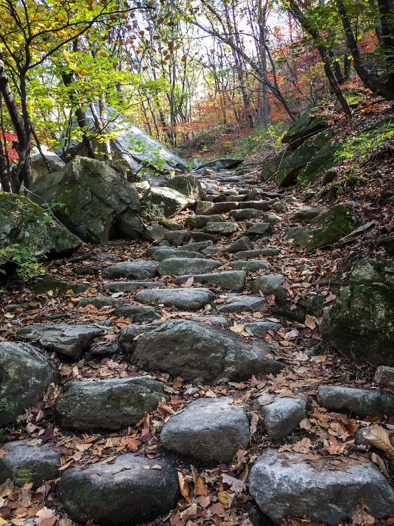 Mount Bukhansan Hike - Photo Credit: Andrea Payawal