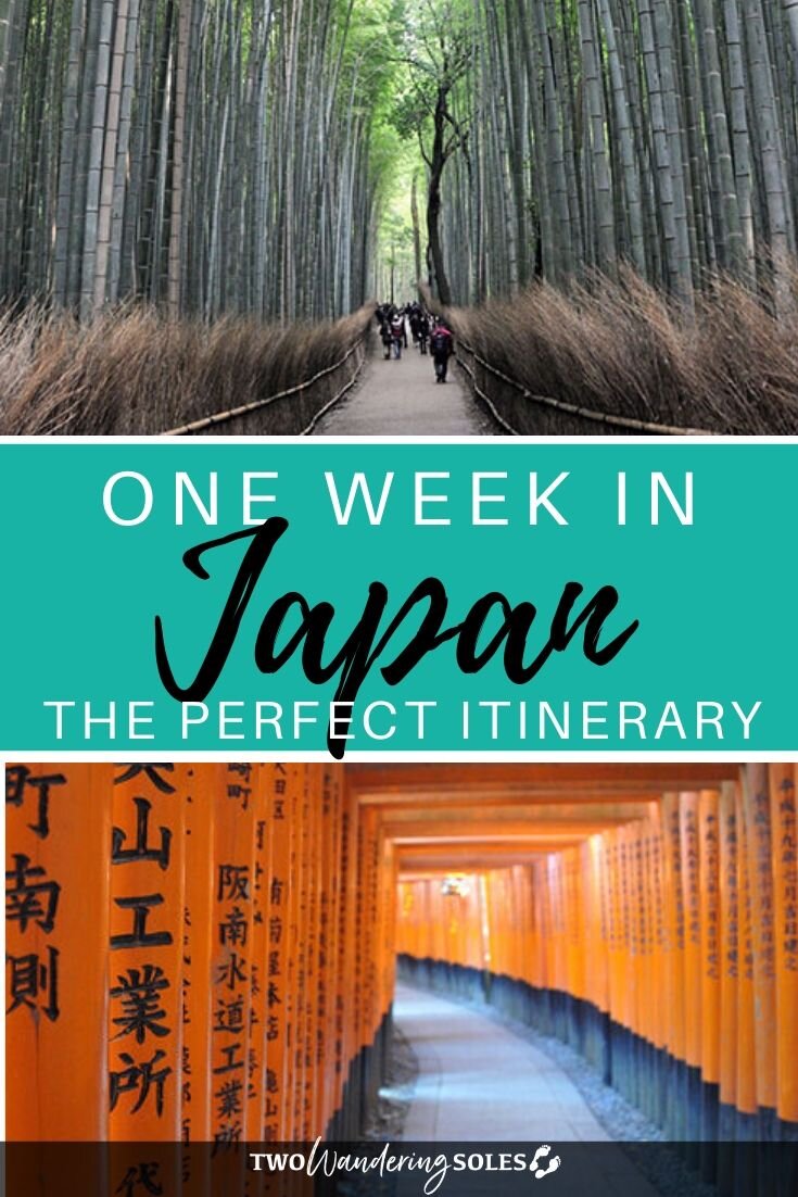 One Wild Week Traveling in Japan: A Complete 7-day Itinerary