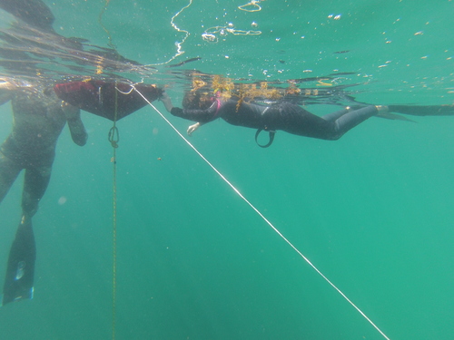 Palawan Freedivers Philippines