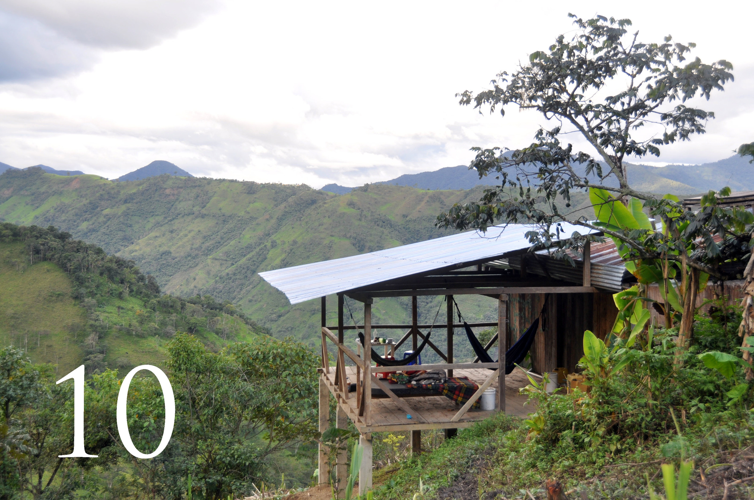 Ecuador Farm WWOOF