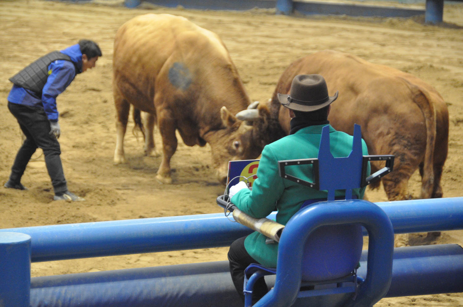 There were several "judges" observing the bullfights; though it didn't really seem like they did much.