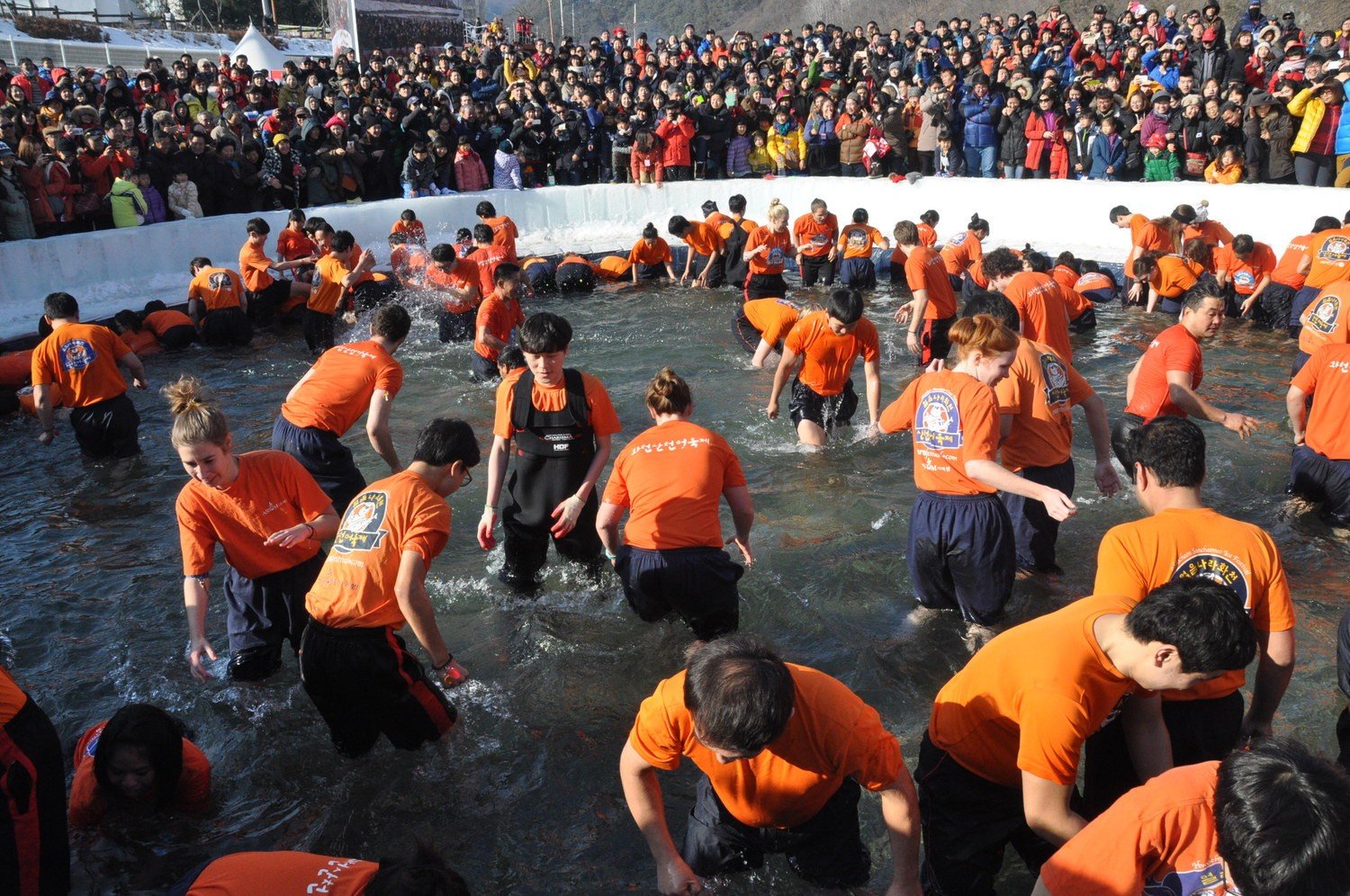 Hwacheon Ice Fishing Festival Adventure Korea