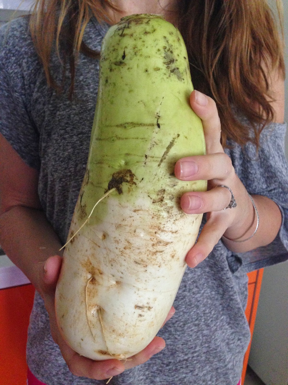 We found out this gargantuan vegetable is a giant Korean radish. Cheap and tasty.