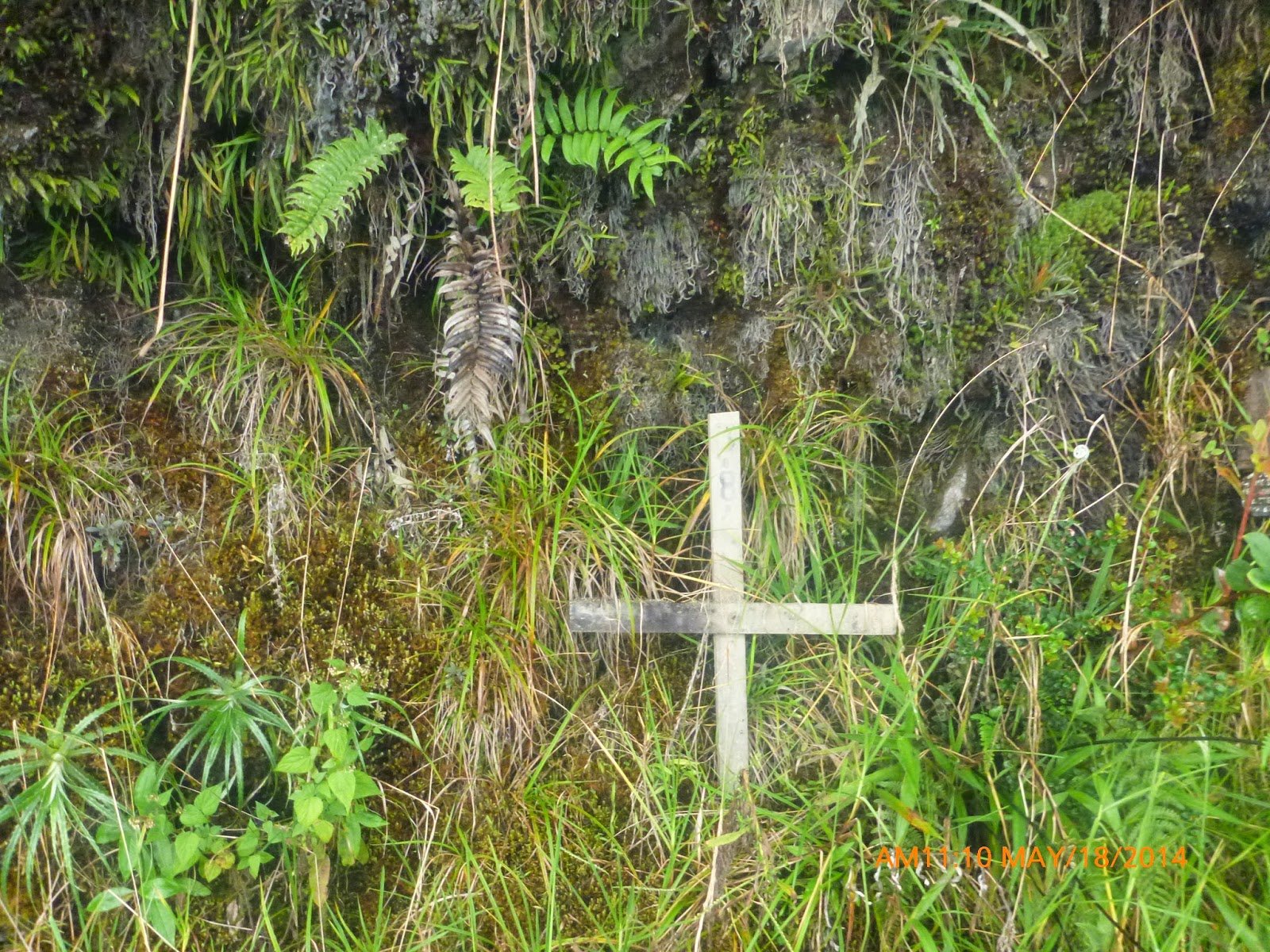 And the graves along the road were a bit terrifying too.