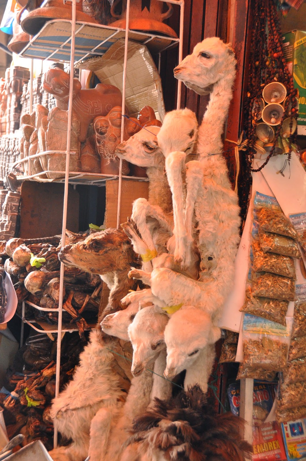 La Paz Bolivia Free Walking Tour Witch Market