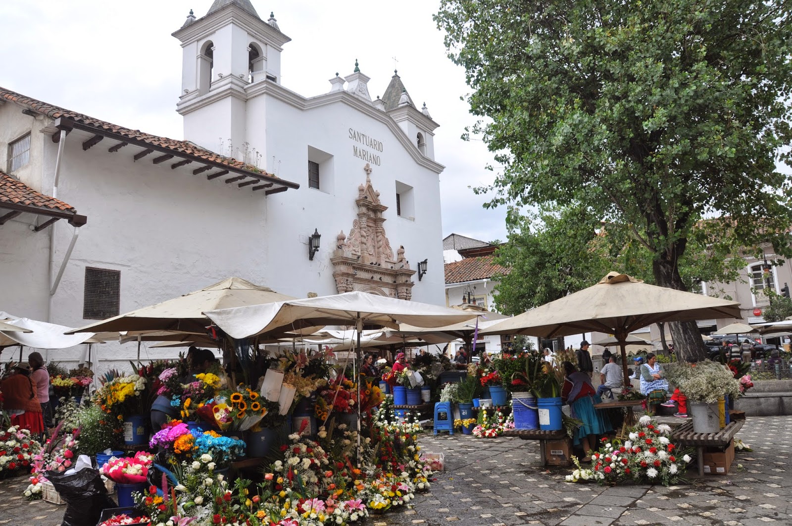 Cuenca Ecuador