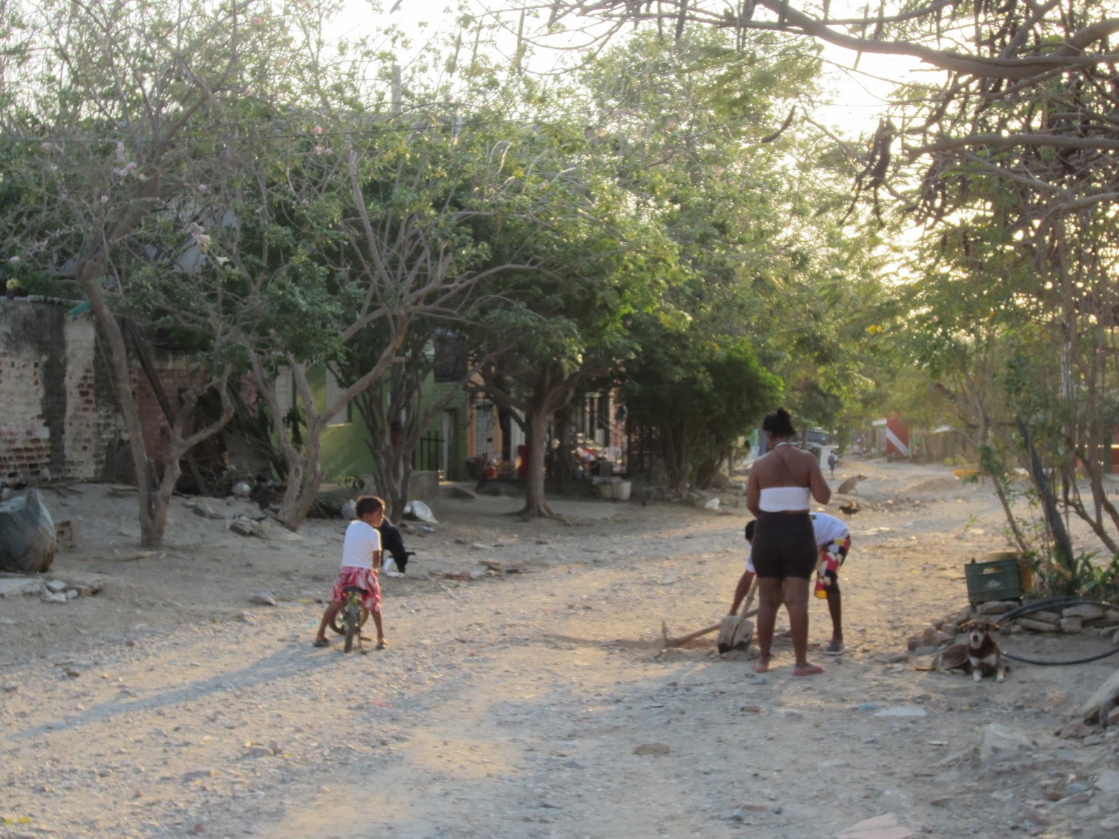 Kids, chickens and dogs playing in the streets.