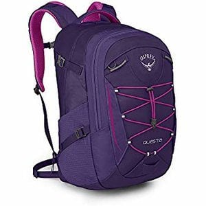 Osprey Day Pack