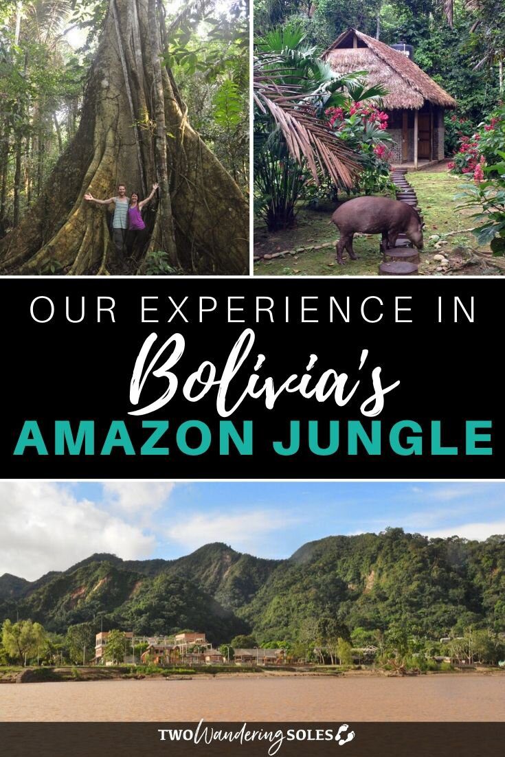 Amazon Jungle In Bolivia