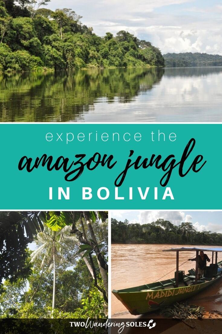 Amazon Jungle In Bolivia