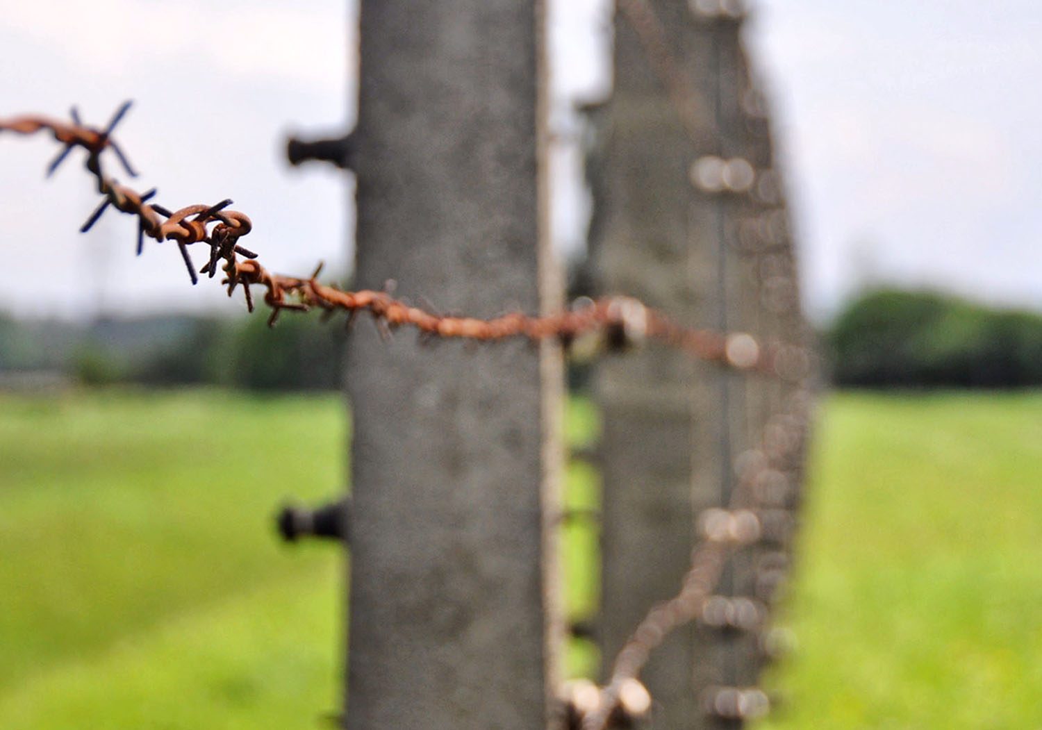 Barbed wire fence